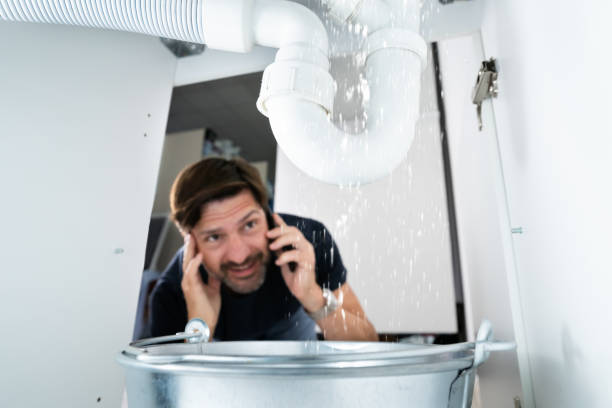 Best Local Plumber Services  in Marion, IL